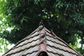 photo of several pigeons perched on the roof