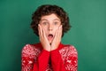 Photo of shocked speechless guy hands cheeks palms cheeks wear deer ornament sweater green color background