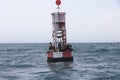 Seals and seal lions on a buoy