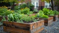 Abundant Harvest: Raised Garden Beds in a Vibrant Community Kitchen Garden