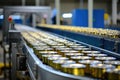 A photo showcases the efficiency of a canning factory, emphasizing the role of an industrial conveyor in streamlining Royalty Free Stock Photo