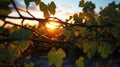 Stunning Photorealistic Sunset Through Vines: Detailed Botanical Illustrations In 32k Uhd