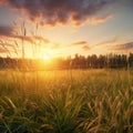 Stunning Ray Traced Sunrise Scenery With Photorealistic Grass