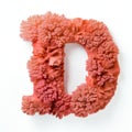 Elaborate Coral Wood Letter D On White Background