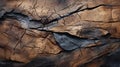 Jagged Weathered Wood: Aerial Abstractions Of Cracked Skin And Burnt Tree