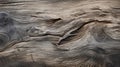 Weathered Wood Surface: Sculptural Landscapes In Uhd