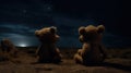 Teddy Bears Stargazing