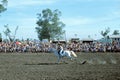 1976. Australia. N. T. Darwin. Rodeo. Royalty Free Stock Photo