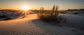 Photo of desert with endless white sand.