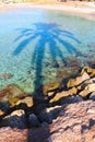 the shadow of a palm tree on the water Royalty Free Stock Photo