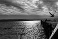 A cloudy day at the lake in Starnberg Royalty Free Stock Photo