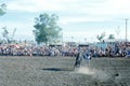 1976. Australia. N.T. Darwin. Rodeo. Royalty Free Stock Photo