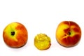 Three peaches - two whole, one practically eaten to the bone on a white background Royalty Free Stock Photo