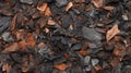 Stunning Wood Chip Background In Black And Brown With Crimson And Bronze Accents Royalty Free Stock Photo
