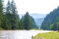 Slope, forest river, stony surface, Carpathians, Ukraine Royalty Free Stock Photo