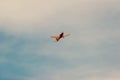 Photo of small airplane flying in a beautiful clean summer day Royalty Free Stock Photo