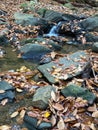 Small Creek in Autumn in Early November Royalty Free Stock Photo