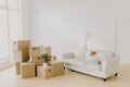 Photo of small dog on comfortable sofa poses in spacious living room, family personal belongings in packages, pile of carton