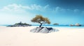 small tree in white sand beach landscape with beautiful ocean background