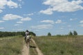 Photo of the small woman on a big horse in summer field. Image of happy female sitting on purebred horse