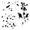Photo of the smeared black blots.