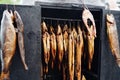 photo of smoked fish hanged inside an oven