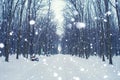 Photo of snow-covered road in the park in winter