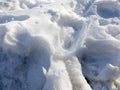 Snowfield and Footprint