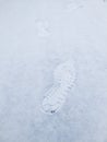 Snowfield and Footprint Royalty Free Stock Photo