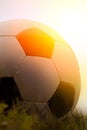 Photo of a soccer ball on grass Royalty Free Stock Photo