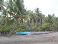 Some palm trees by the sea, Playa Esterillos, Parrita Village, Costa Rica