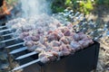 Photo of souvlaki on the chargrill. Meat strung on skewers is fried in the camp at sunset. Smoke rises from the grill