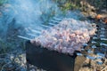 Photo of souvlaki on the chargrill. Meat strung on skewers is fried in the camp at sunset. Smoke rises from the grill