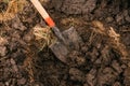 Photo of a spade in the process of digging a hole in order to plant a tree.