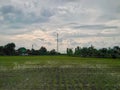 a photo of a Sprawling rice fields against a backdrop of a twilight sky with dark clouds Royalty Free Stock Photo