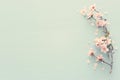 photo of spring white cherry blossom tree on pastel blue wooden background. View from above, flat lay.