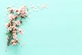 photo of spring white cherry blossom tree on pastel mint wooden background. View from above, flat lay.