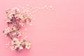 photo of spring white cherry blossom tree on pastel pink wooden background. View from above, flat lay. Royalty Free Stock Photo