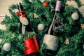 Photo of spruce branches with two bottles of wine, blank greeting card Royalty Free Stock Photo