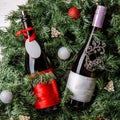 Photo of spruce branches with two bottles of wine, blank greeting card Royalty Free Stock Photo