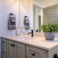 Photo Square Bathroom vanity cabinet with sink black faucet ornamental plant and mirror Royalty Free Stock Photo