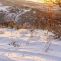 Photo Square frame Ground with thick layer of fresh white snow illuminated by golden sun at sunset