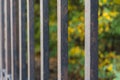 Photo of a steel fence in the Park. Rusty bars with peeling paint fade into a blurry perspective against the background of autumn Royalty Free Stock Photo