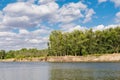 Photo of a steep river Bank on a bright Sunny day against a cloudy sky. The sandy beach is overgrown with poplars