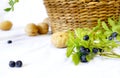 Photo still life with a basket, walnuts and blueberry branches.