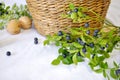 Photo still life with a basket, walnuts and blueberry branches.