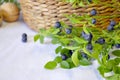 Photo still life with a basket, walnuts and blueberry branches.