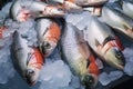 Photo Stock Close up shot of Southeast Asian salmon fish in a market