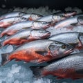 Photo Stock Close up shot of Southeast Asian salmon fish in a market