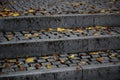 stone steps covered in yellow leaves in autumn Royalty Free Stock Photo